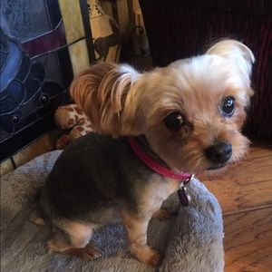 Meet your Posher, Carole m